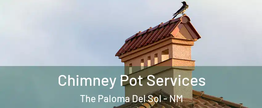 Chimney Pot Services The Paloma Del Sol - NM