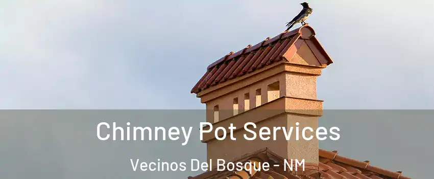 Chimney Pot Services Vecinos Del Bosque - NM
