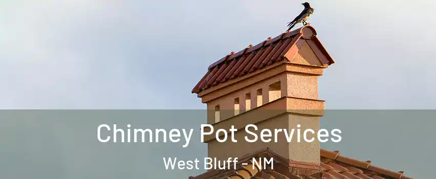 Chimney Pot Services West Bluff - NM