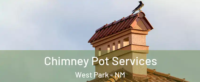 Chimney Pot Services West Park - NM