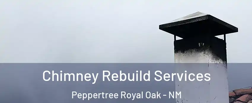 Chimney Rebuild Services Peppertree Royal Oak - NM