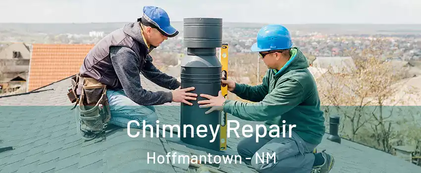 Chimney Repair Hoffmantown - NM