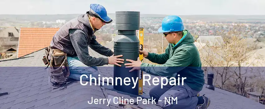 Chimney Repair Jerry Cline Park - NM