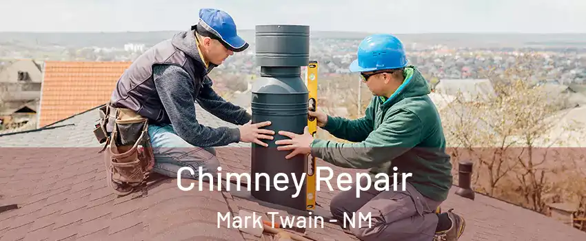 Chimney Repair Mark Twain - NM