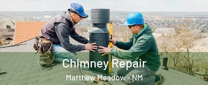 Chimney Repair Matthew Meadow - NM
