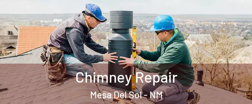 Chimney Repair Mesa Del Sol - NM