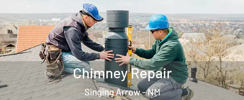 Chimney Repair Singing Arrow - NM