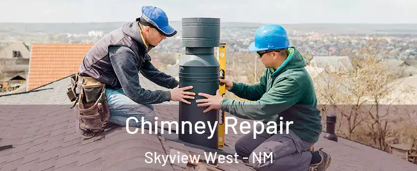 Chimney Repair Skyview West - NM