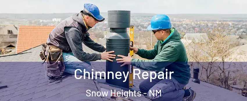 Chimney Repair Snow Heights - NM