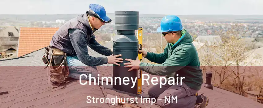 Chimney Repair Stronghurst Imp - NM