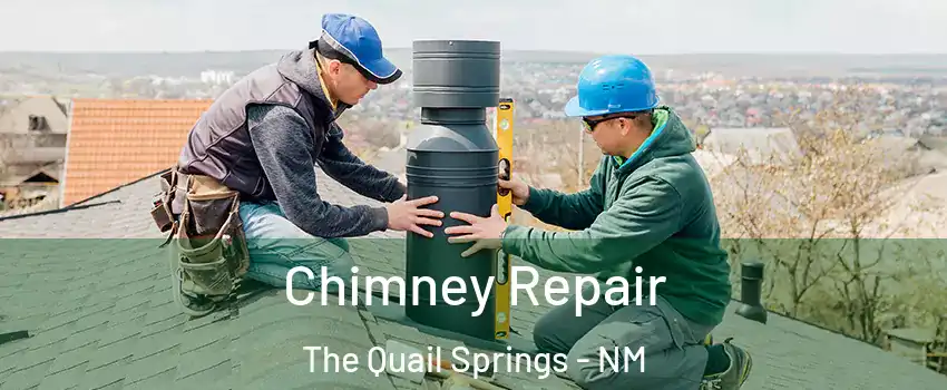 Chimney Repair The Quail Springs - NM