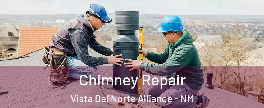 Chimney Repair Vista Del Norte Alliance - NM
