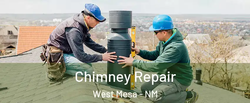 Chimney Repair West Mesa - NM