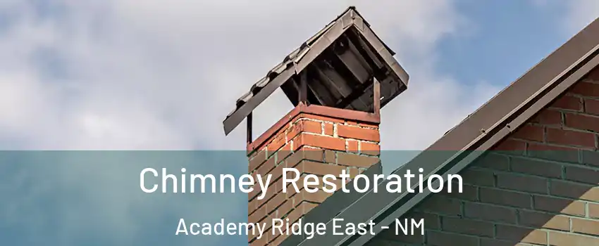 Chimney Restoration Academy Ridge East - NM