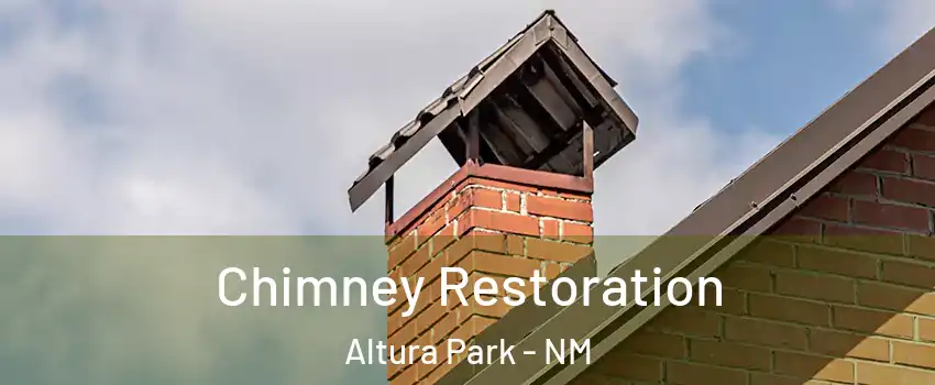 Chimney Restoration Altura Park - NM