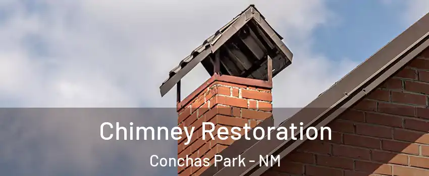 Chimney Restoration Conchas Park - NM