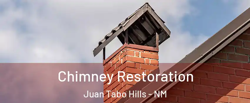 Chimney Restoration Juan Tabo Hills - NM