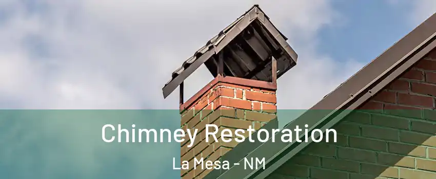 Chimney Restoration La Mesa - NM
