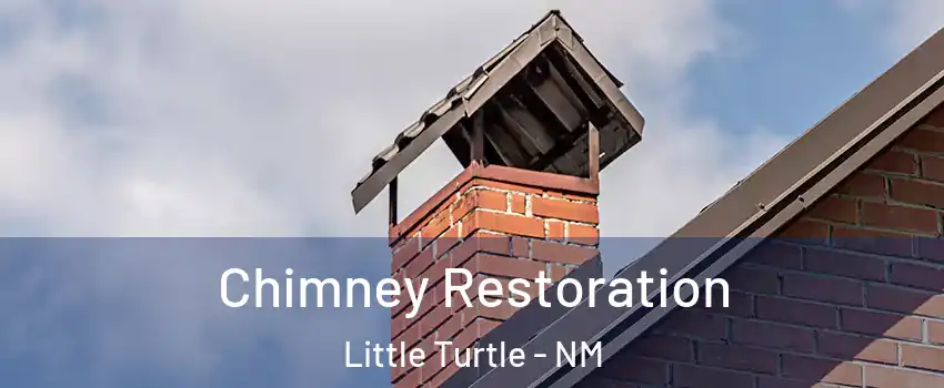 Chimney Restoration Little Turtle - NM