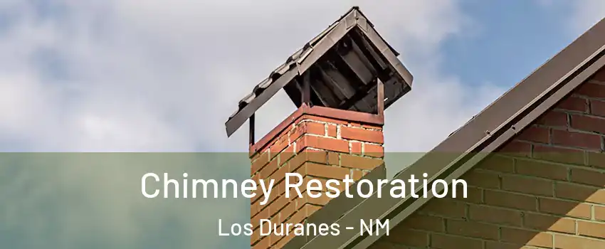Chimney Restoration Los Duranes - NM