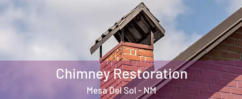 Chimney Restoration Mesa Del Sol - NM