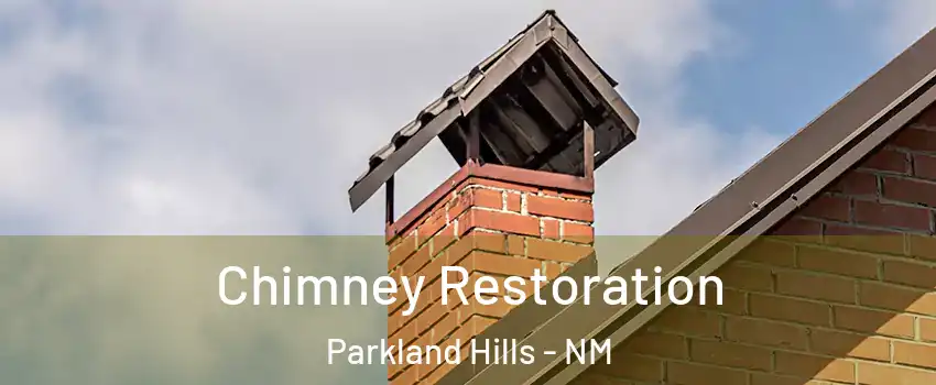 Chimney Restoration Parkland Hills - NM