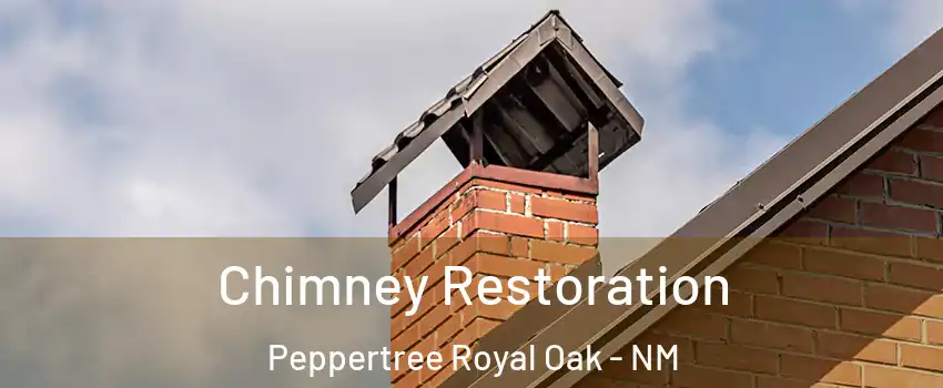Chimney Restoration Peppertree Royal Oak - NM
