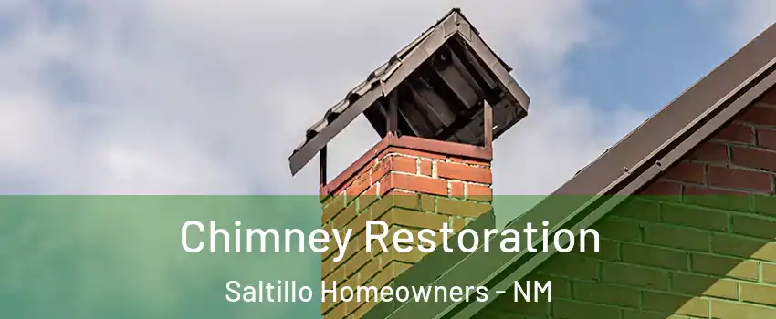 Chimney Restoration Saltillo Homeowners - NM
