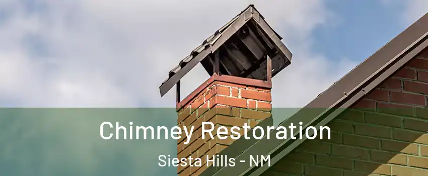 Chimney Restoration Siesta Hills - NM