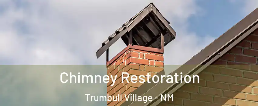 Chimney Restoration Trumbull Village - NM