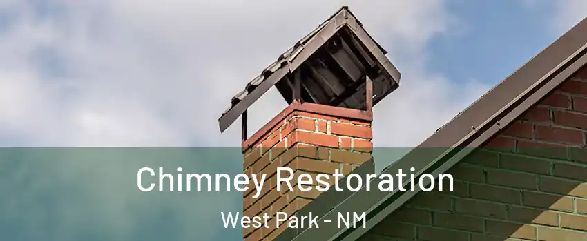 Chimney Restoration West Park - NM