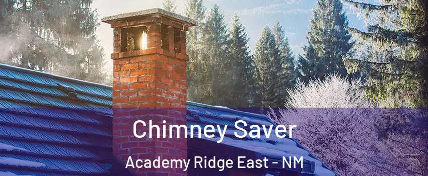 Chimney Saver Academy Ridge East - NM