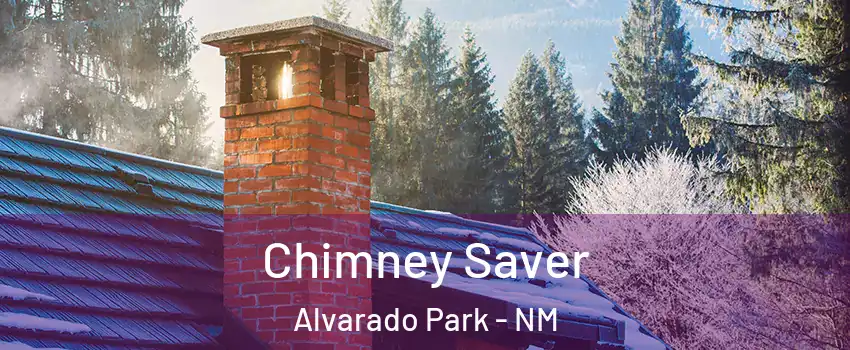 Chimney Saver Alvarado Park - NM