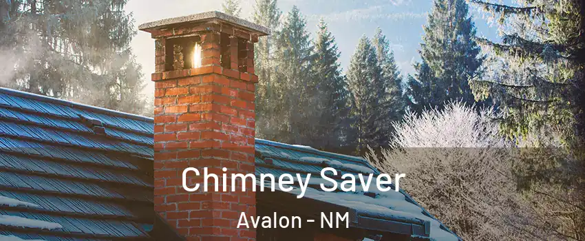 Chimney Saver Avalon - NM