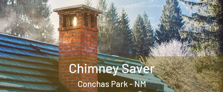 Chimney Saver Conchas Park - NM