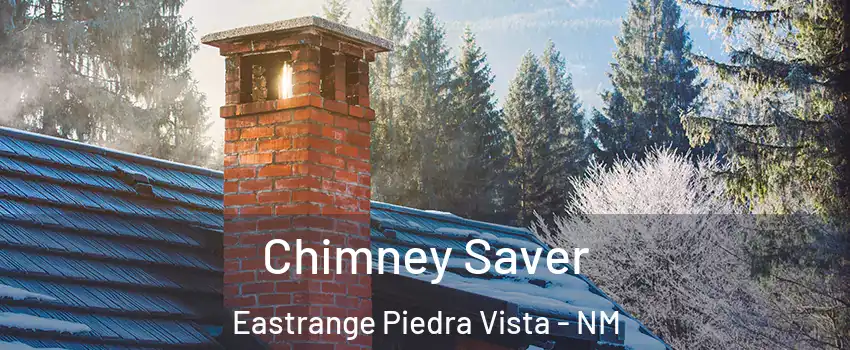 Chimney Saver Eastrange Piedra Vista - NM