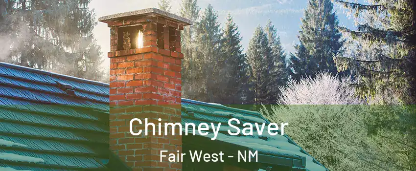 Chimney Saver Fair West - NM