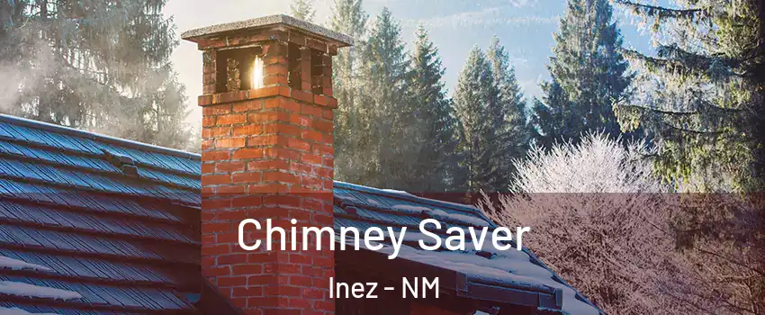 Chimney Saver Inez - NM