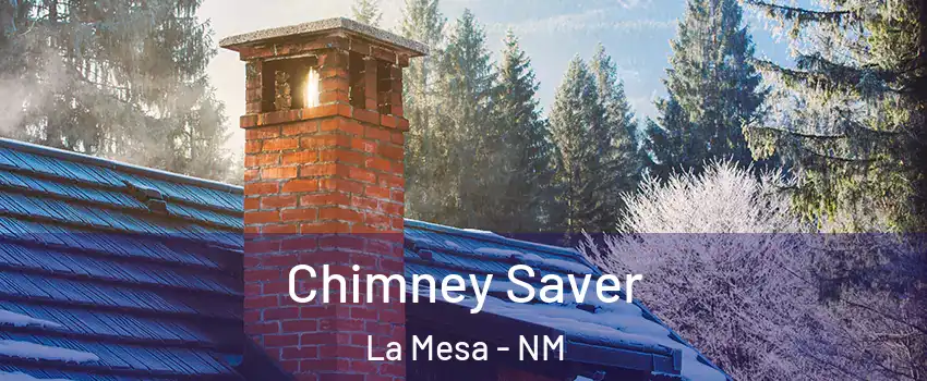 Chimney Saver La Mesa - NM