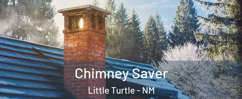 Chimney Saver Little Turtle - NM