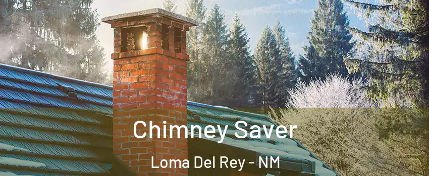 Chimney Saver Loma Del Rey - NM