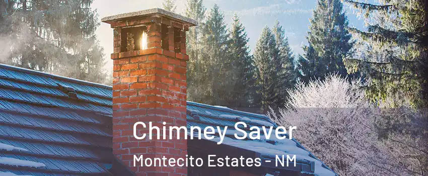 Chimney Saver Montecito Estates - NM