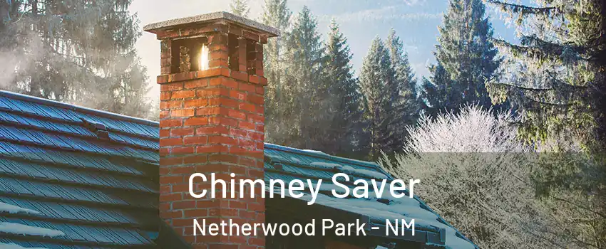 Chimney Saver Netherwood Park - NM