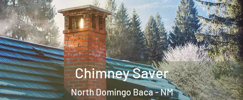 Chimney Saver North Domingo Baca - NM