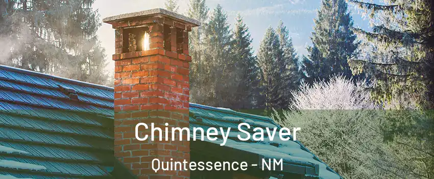 Chimney Saver Quintessence - NM