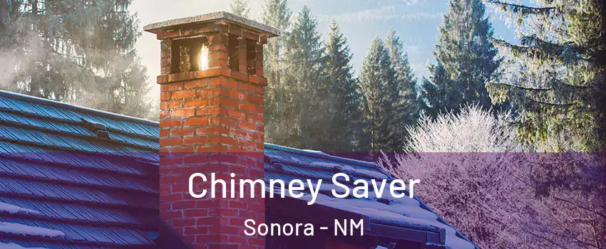 Chimney Saver Sonora - NM