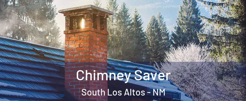 Chimney Saver South Los Altos - NM