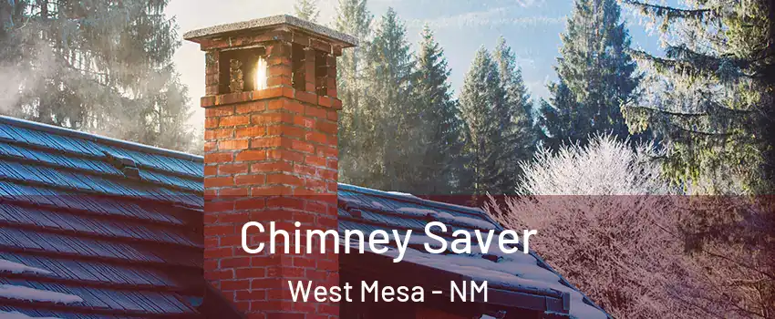 Chimney Saver West Mesa - NM