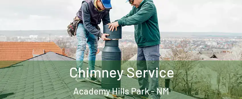 Chimney Service Academy Hills Park - NM