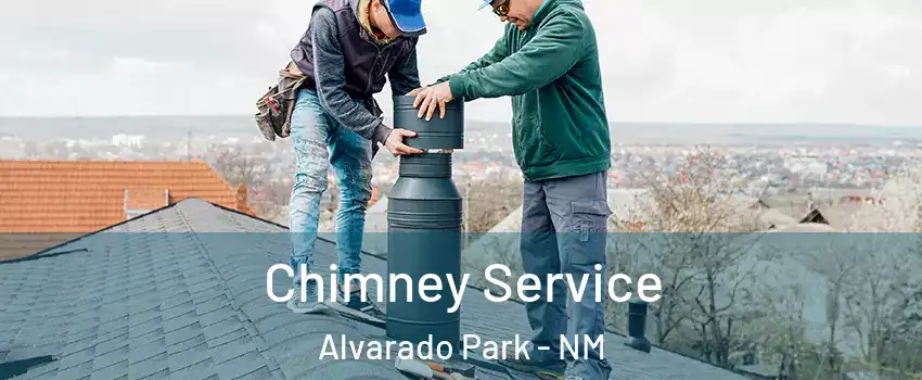 Chimney Service Alvarado Park - NM